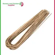 Bamboo U-Cane Trellis / Plant Support - Pack of 100 - 45cm long & 8-10mm thick