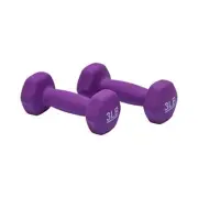 Neoprene Coated Hexagon Workout Dumbbell Hand Weight 3 Pound Set of 2 Total 6 lb