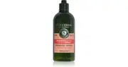 [L`occitane en provence] L'Occitane Intensive Repair Shampoo 300 ml