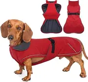 MORVIGIVE Dachshund Coat - Red, Medium - Dachshund Jacket with Fleece Lining, Waterproof Dog Coat Christmas Snowsuit with Harness Hole and Adjustable Buckle Closure