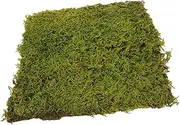 FONDOTIN Artificial Turf Pad for DIY Sand Table Landscape Grass Fake Turf Easy Install