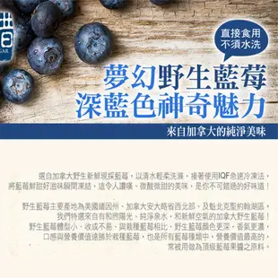 幸美生技進口冷凍野生藍莓6包組(1000g/包) 現貨 廠商直送