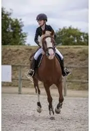 エキア(Ekkia) 988480212 988480212 E-T.CLASSIC SOFTSH.JACK.BLK 12 Equestrian Equipment, Black