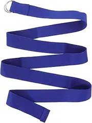 WESIEVYA 5pcs Non Elastic Yoga Strap Metal d Ring Sturdy Webbing for Home Gym Exercises