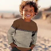 Boys' 3D Graphic Geometric Color Block Sweatshirt Long Sleeve 3D Print Summer Fall Vintage 3D Print Designer Kids 3-12 Years Outdoor Casual Daily Regular Fit