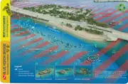 Blue Heron Bridge Palm Beach County Florida Reef Smart Waterproof Dive Card