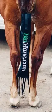 BioMane Tail Bag