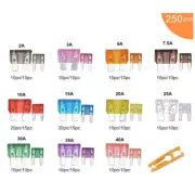 250Pcs Fuses Assortment Kit Blade Mini Standard Size For Car RV Motorcycle Boat (for: Mini)