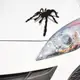 熱賣~ 蜘蛛辟邪3D立體陰影效果 裝飾汽車貼紙1對 蜘蛛車貼子