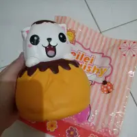 在飛比找蝦皮購物優惠-Leilei squishy 貓