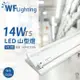 【舞光】 LED-4243-T5 LED T5 14W 2燈 6500K 白光 4尺 全電壓 山形燈 WF431330A