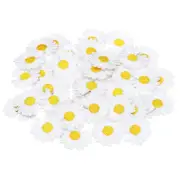 27mm Iron on Patches for Clothes, 40 Pack Flower Patch Hot Melt Adhesive, White