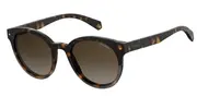 POLAROID-PLD 6043/S-086-5120-SUNGLASSES