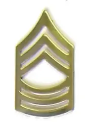 MILITARY HAT LAPEL PIN - ARMY E8 MASTER SGT MASTER SERGEANT RANK PIN - NEW