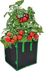 5 Gallon Garden Grow Bags Planter Box Planting Beds Grow Pots with Handles Breathable Plant Container Planter Bags for Carrots Onions Herbs Flowers Vegetables Multicolor158