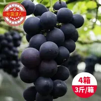 在飛比找鮮拾優惠-【水果達人】 台灣一級巨峰葡萄x4箱(3斤±10%/箱)