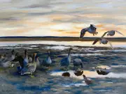 Bean geese shedding B. Liljefors birds Tile Mural Backsplash Art Marble Ceramic