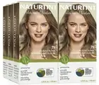 Naturtint 7N Hazelnut Blonde Hair Color, 6 Pack