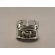 Austral Piston Set - PO845 040