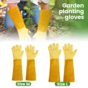 Rose Pruning Garden Protective Gloves Thorn Proof Long Gardening Gloves