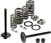 Motorcycle Complete Valve Assembly Kit for 125cc 150cc GY6 4-Stroke Motor