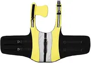 Ｂｅｓｇａ Dog Float Vest Puppy Swimsuit Swim Float Vest with Handle Puppy Swimming Vest Dog Jacket for Small and Medium Dogs Beach, S