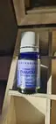 Roman Chamomile Oil