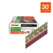 Paslode Collated Framing Nails 30 degree Galvanized Smooth Shank (2000 per Box)