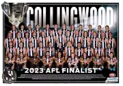 COLLINGWOOD MAGPIES AFL FOOTBALL TEAM POSTER,BARGAIN GREAT FEEDBACKS premiers