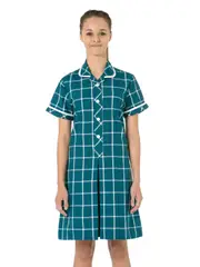 Teal Check Summer Dress