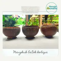 在飛比找蝦皮購物優惠-Manado ecocrfts 冰沙碗椰子殼碗
