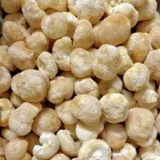 Lion s Mane (100% Organic) Mushroom Dried – 1 kg