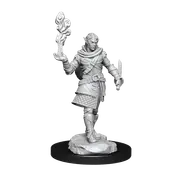 Critical Role Unpainted Miniatures Pallid Elf Rogue and Bard Male
