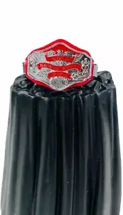 WWE Mattel WCW Television Championship Title Belt Action Figure Accessory 6” TV