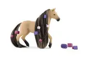 Beauty Horse Andalusian Mare