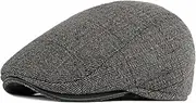 [HAMKVBPR] Men's Beret Hats Winter Hat Men's Padded Thickened Warm Ear Protection Beret Mens Hat Flat Cap