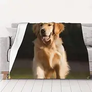 Golden Retriever Dog Throw Blanket 50"X40" Soft Cozy Fleece Blanket Lightweight Warm Bed Blankets for Couch Sofa Bed Chair Home Decor All Seasons Blanket