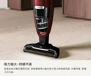 【享4%點數回饋】Electrolux 伊萊克斯 Well Q7無線吸塵器 WQ71-ANIMA 含贈品 Well Q6/Q7 專用濾網組