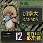 【鴨嘴獸 旅遊網卡】TRAVEL SIM 加拿大12天 吃到飽 上網卡