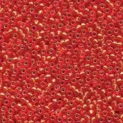 Duracoat Silver-Lined Dyed Pumpkin Miyuki Seed Beads 11/0 (11-94264-TB)