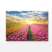 Tulip Flower Field With Sky Print 100% Australian Made 180x120cm (Stretched Canvas)