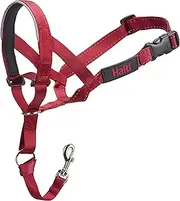 Company of Animals Halti Head collar for Dogs, Size 4, Red