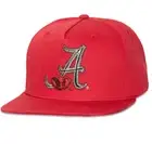 Travis Scott Cactus Jack Mitchell & Ness Alabama Crimson Tide Snapback Hat