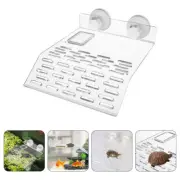 Sunny Turtle Floating Island Reptile Basking Platform above Tank