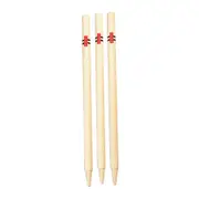 Gray Nicolls Club Cricket Stumps