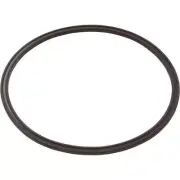 LEAF CATCHER SEAL (R0623300)