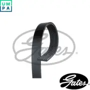 VRIBBED BELT 6PK2013 FOR SSANGYONG REXTON/VAN MUSSO/GRAND SAAB 900/II MAZDA
