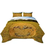 Animals Art Smiley Face Lions Coverlet