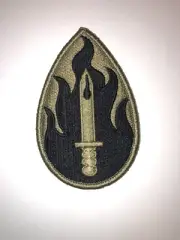 63rd Infantry Division/ Regional Support Command U.S. Army Patch W / Hook Back