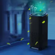 Air Purifier for Room, Allergens, Pet Allergies, Dust, Automatic Mode, Silent Black